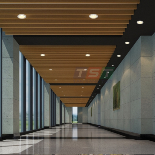 ĐÈN DOWNLIGHT DN05