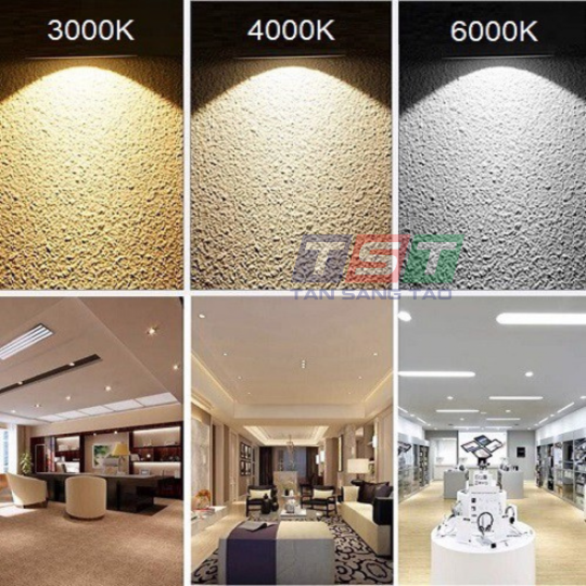 ĐÈN RỌI RAY STR01