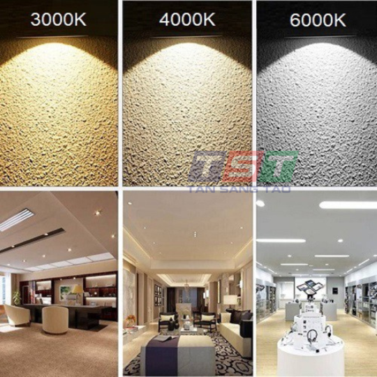 ĐÈN RỌI RAY STR02