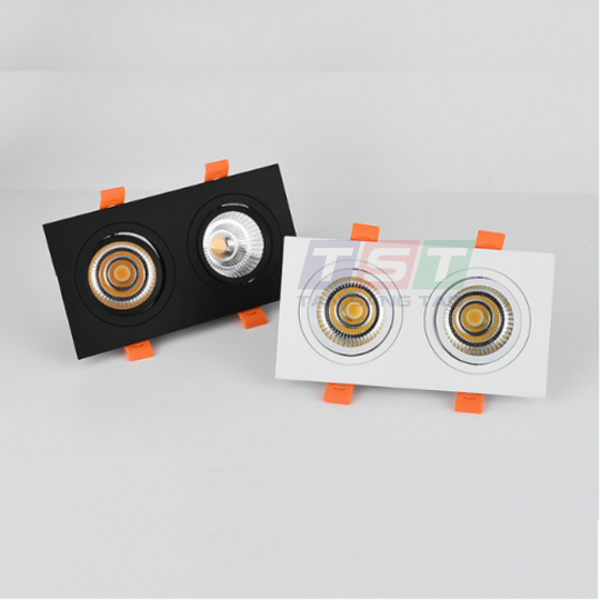 ĐÈN DOWNLIGHT ÂM TRẦN ĐÔI DLV1
