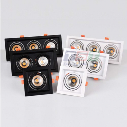 ĐÈN DOWNLIGHT ÂM TRẦN ĐÔI DLV3