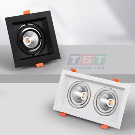 ĐÈN DOWNLIGHT ÂM TRẦN ĐÔI DLV3