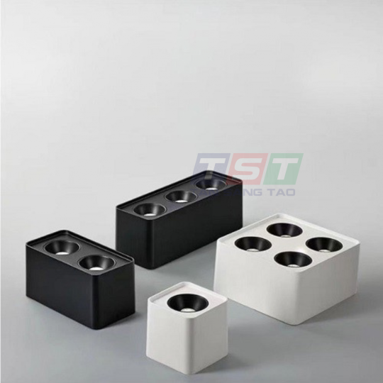 ĐÈN DOWNLIGHT ÂM TRẦN ĐÔI DLV5