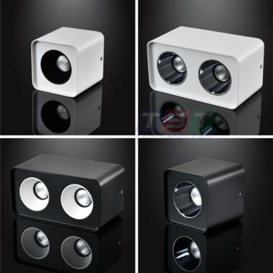 ĐÈN DOWNLIGHT ÂM TRẦN ĐÔI DLV5